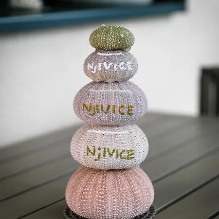 2a Partment Rukavina דירה